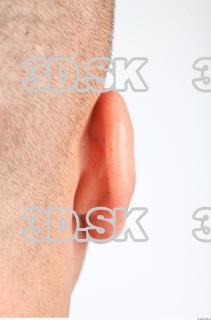 Ear texture of Dale 0002